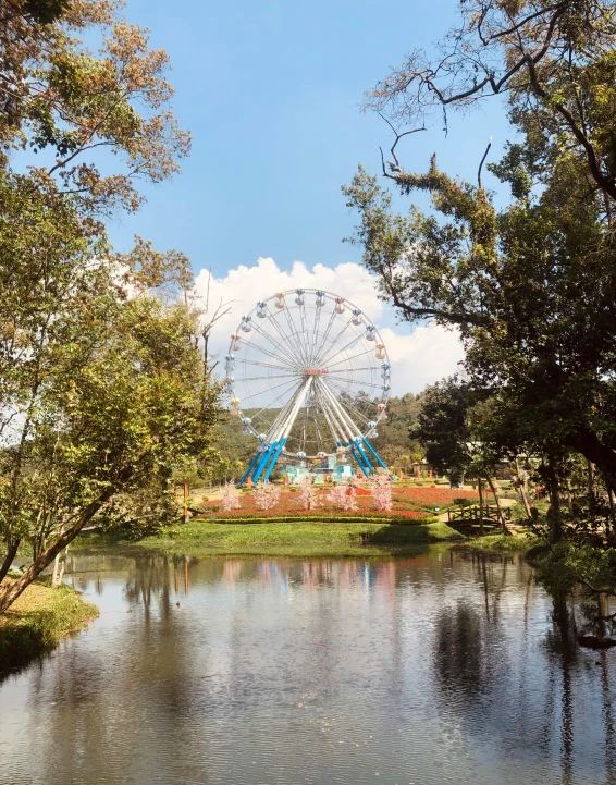 a large ferris wheel over looking the water