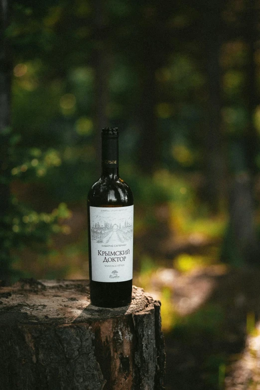 a bottle of wine is sitting on a tree stump