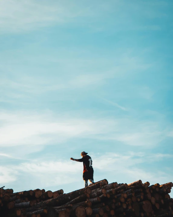 a person on top of some logs with a sky in the background