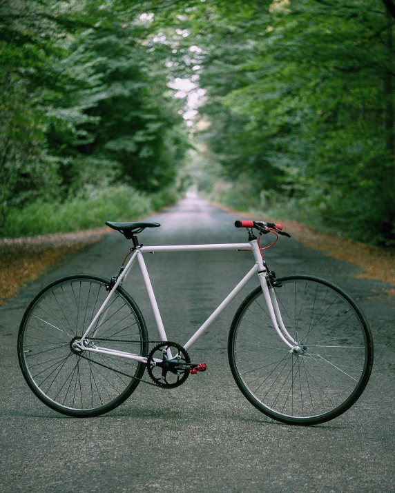 a bicycle is parked on a tree lined road