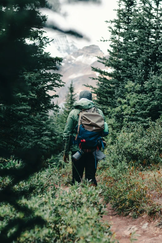 two men hiking along a path in the woods