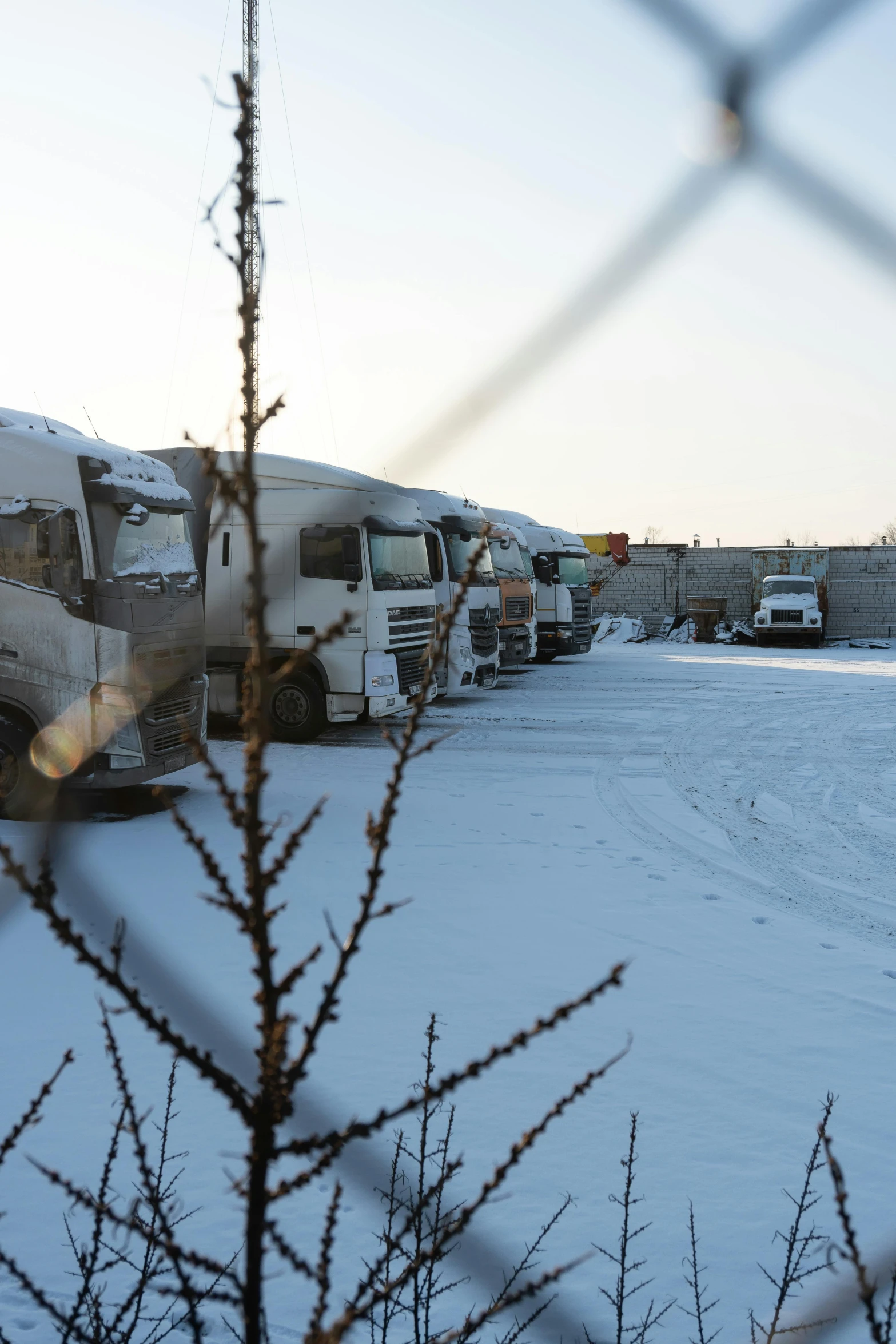 a group of trucks parked next to each other on a snowy ground