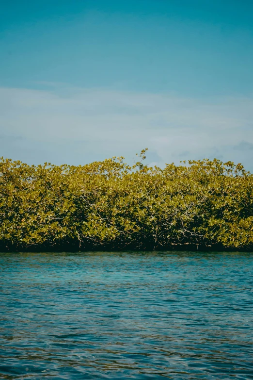 a small island off the coast of a river in africa