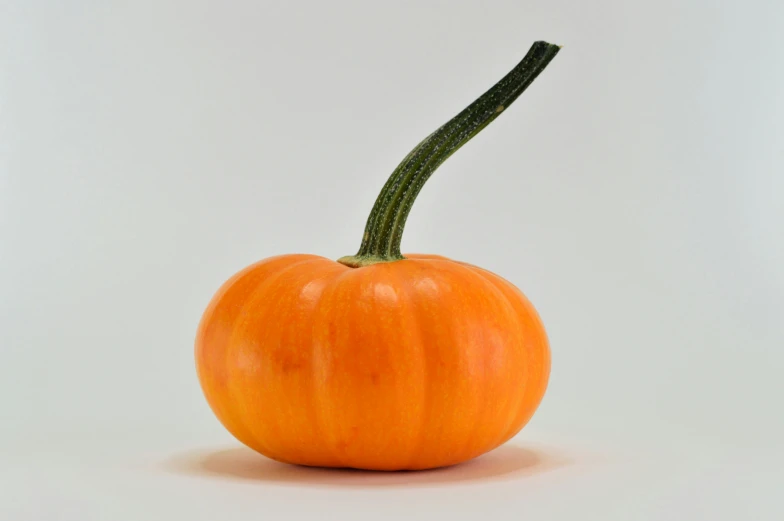 the orange stem is on top of an orange pumpkin