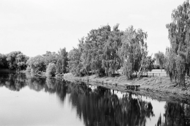 trees, water and benches along side a road