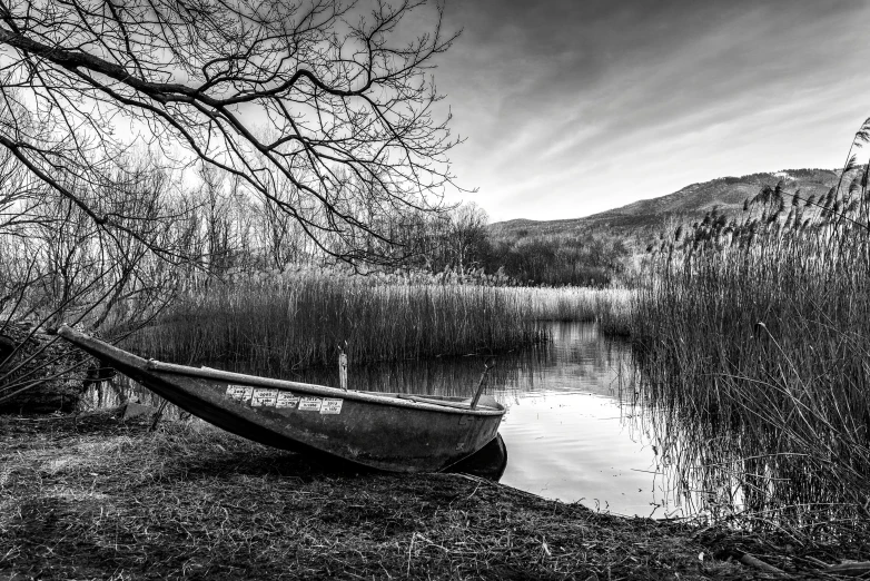 a boat sitting in the water next to trees