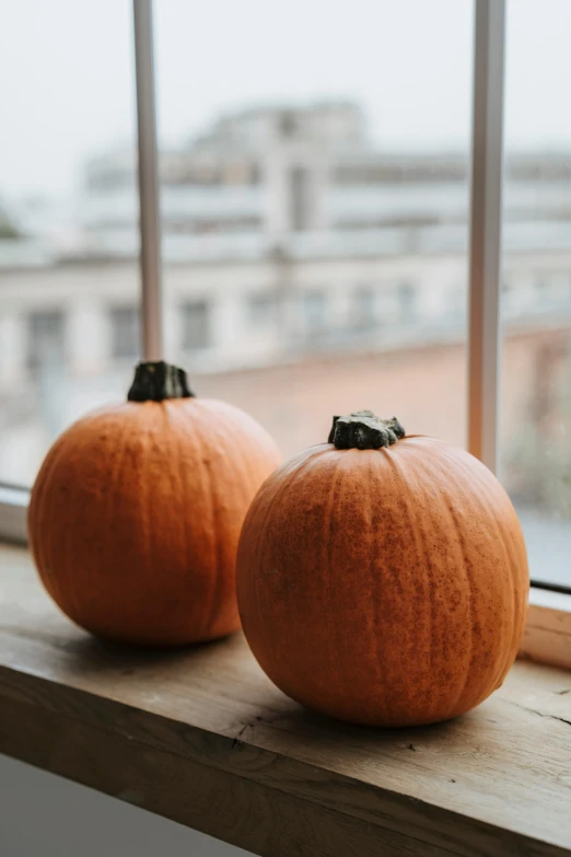 two pumpkins are sitting on the window sill