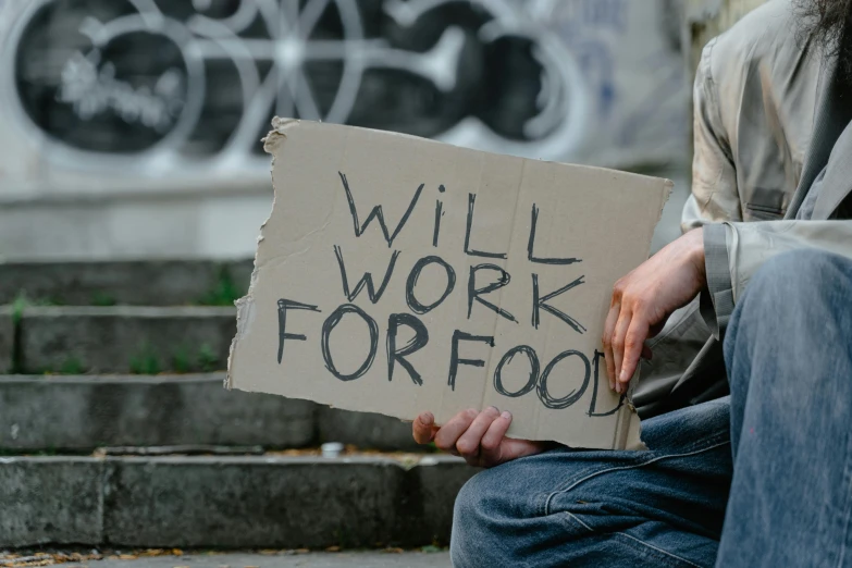 a person holding a sign that reads will work for food