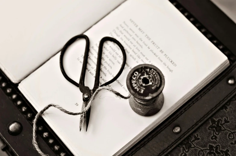 a pair of scissors is laying on a book