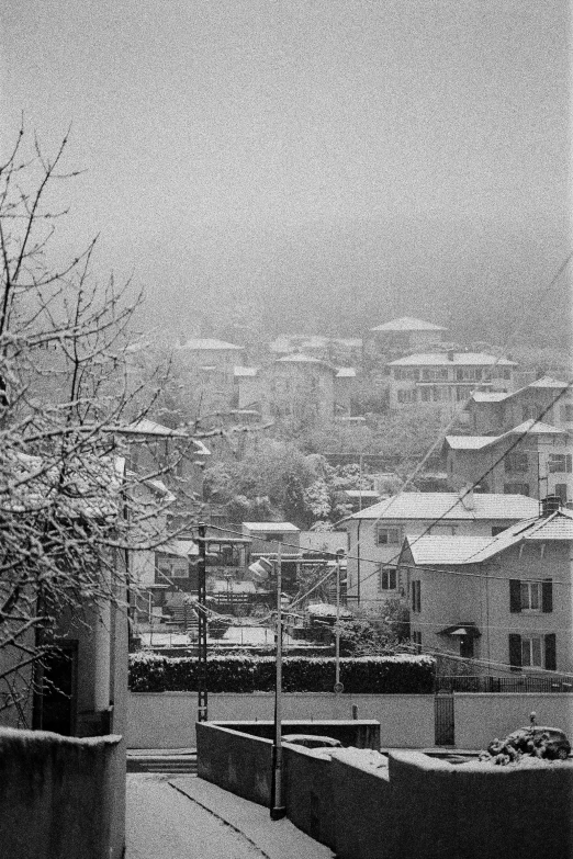 a snow covered rooftop and trees are seen in black and white