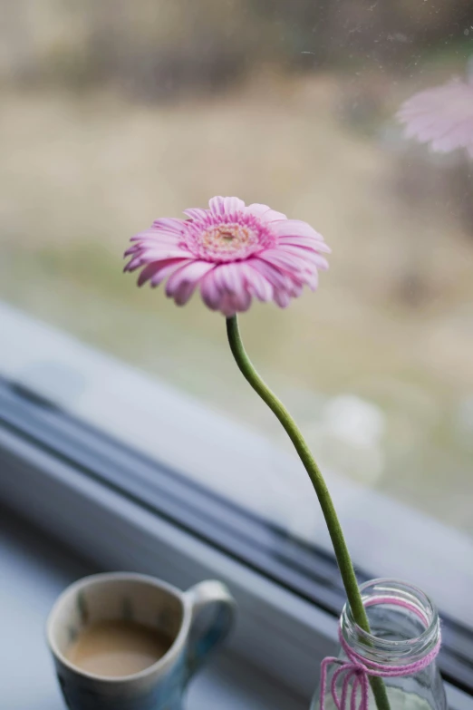 a pink flower in a jar beside a coffee mug