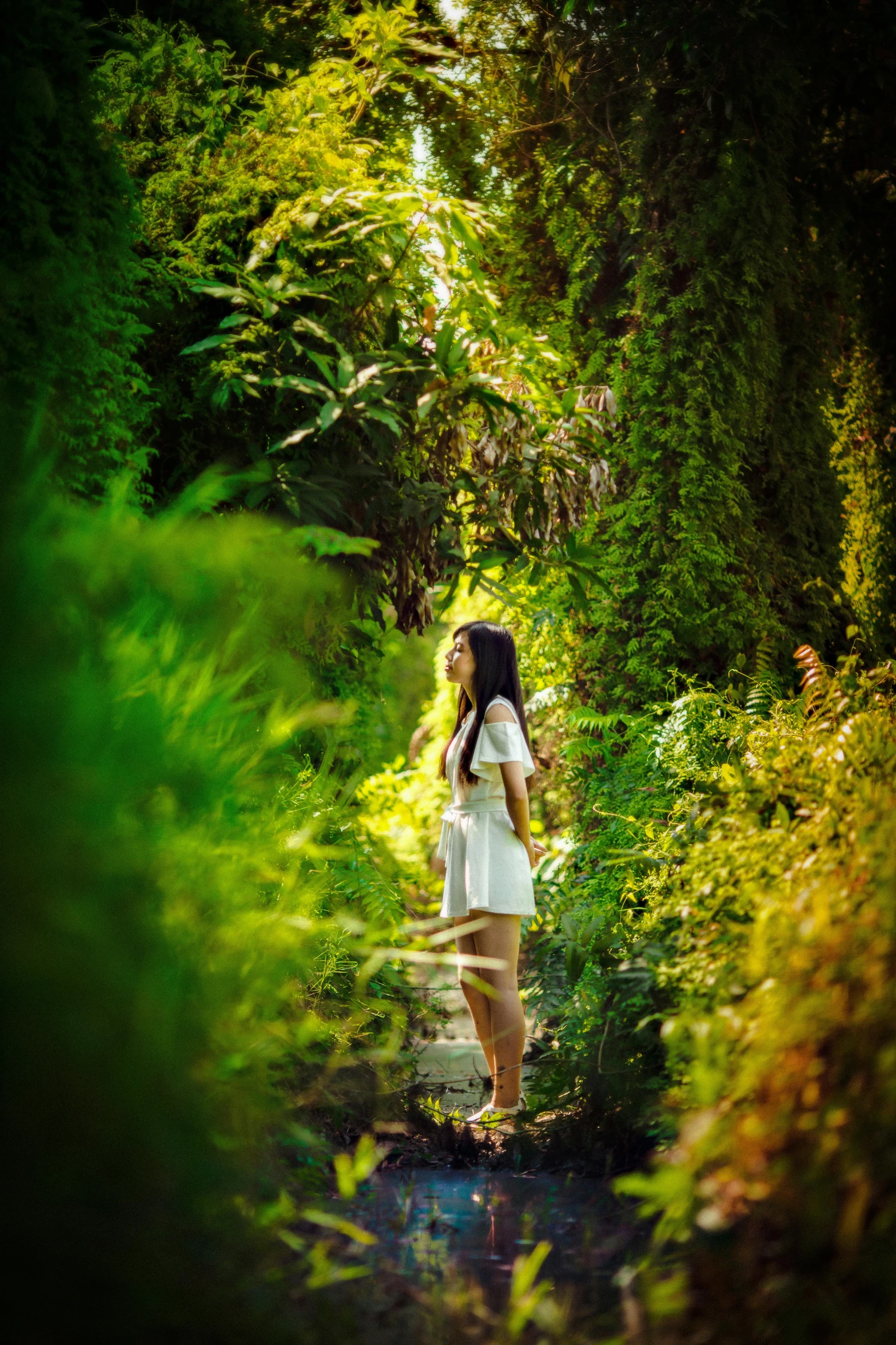 a beautiful young woman walks through the jungle