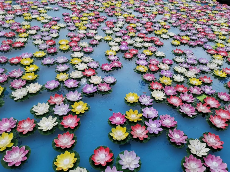 a large blue table that has flowers floating on it