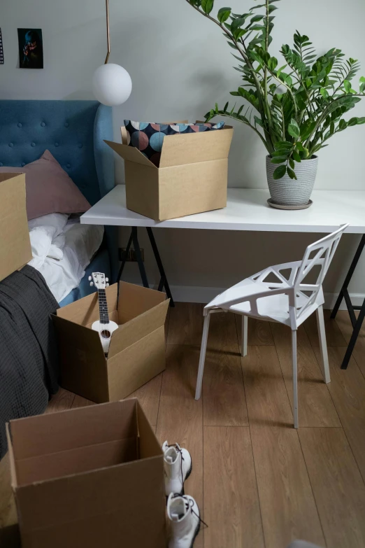 boxes and plants on a couch that are sitting on the floor