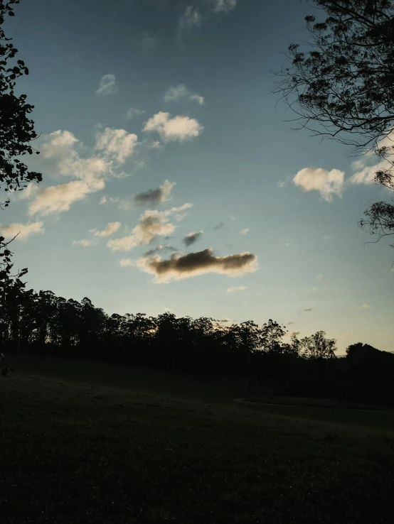 a grassy field with a tree and clouds in the background