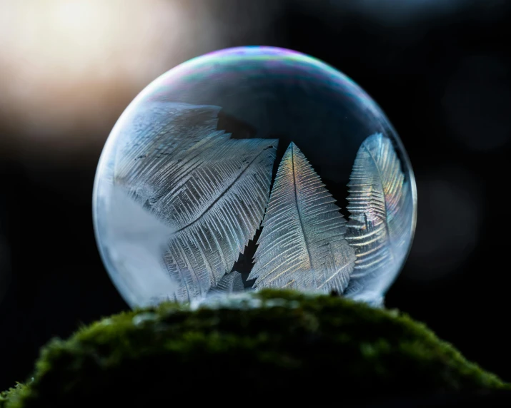 a close up of a glass ball with some feathers in it