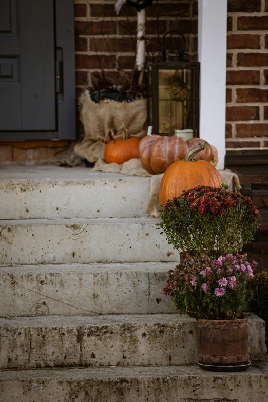 two pumpkins and flowers are sitting on the steps
