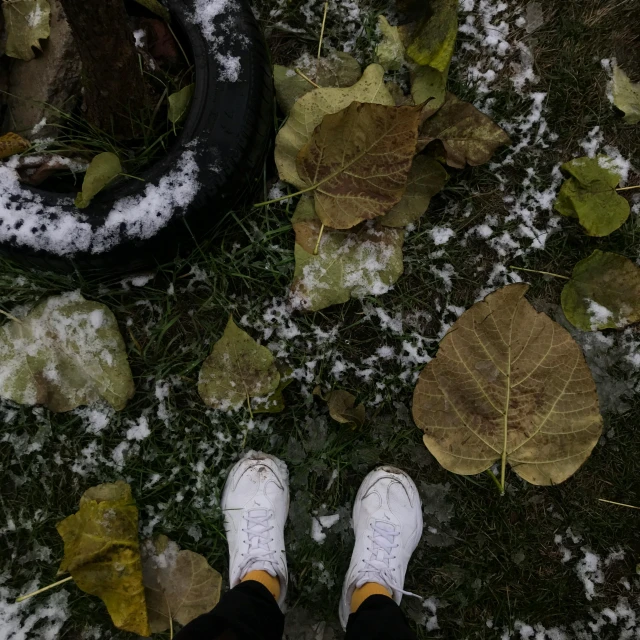 a person standing in front of a tire and a leaf on the ground