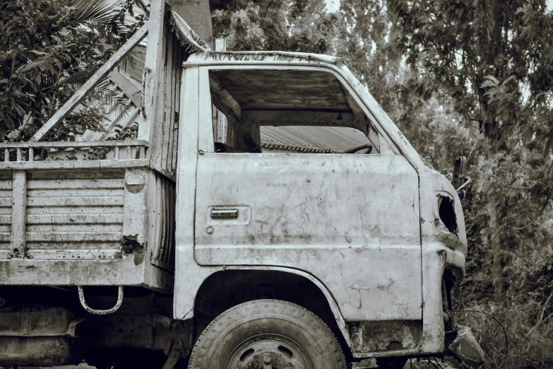 a rusty truck is parked among trees