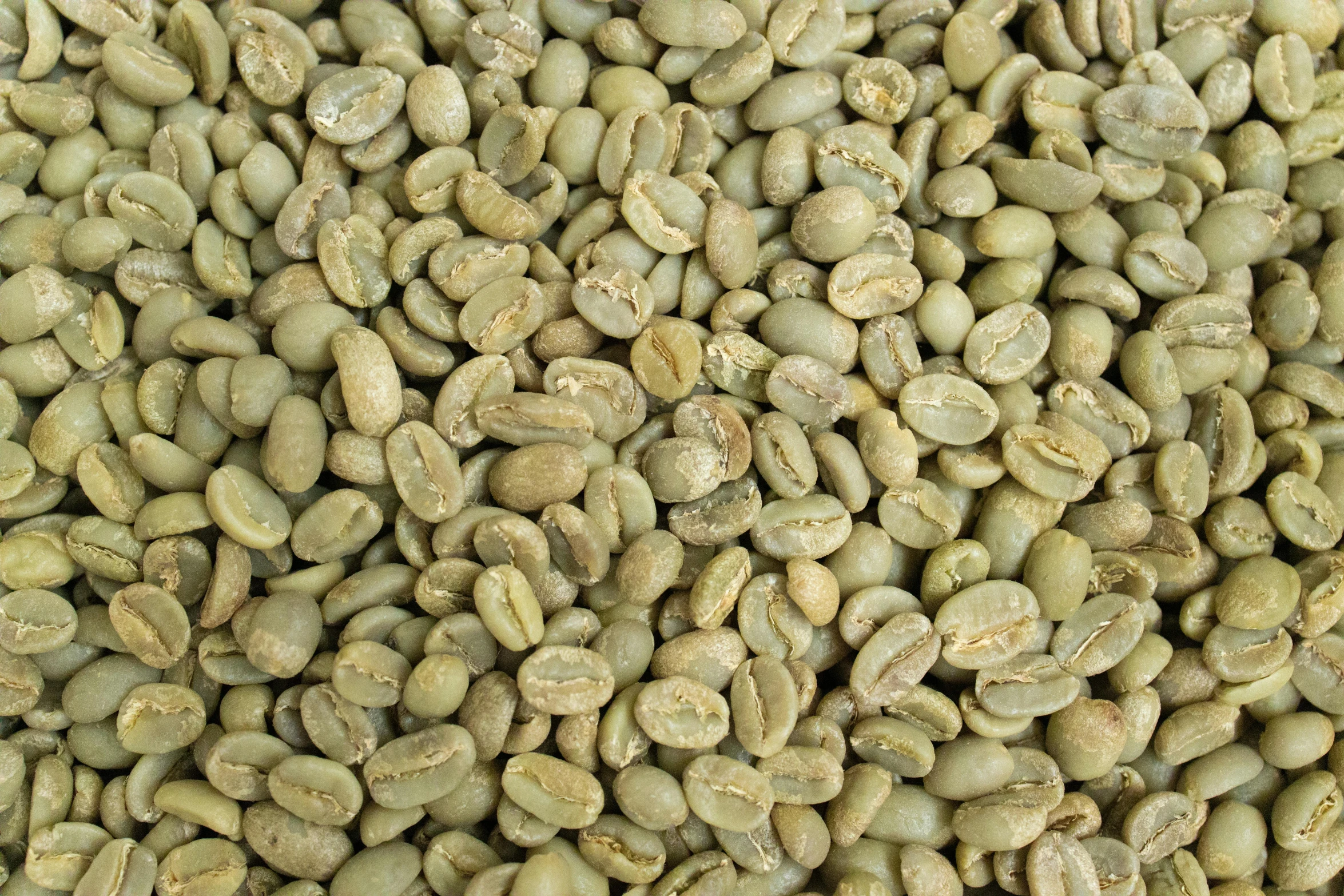 a bunch of green coffee beans is grouped together