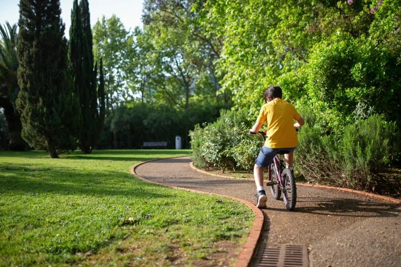 a man rides a bike along a path through some trees