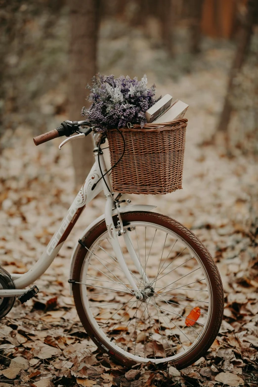 a bicycle with baskets full of flowers in the woods