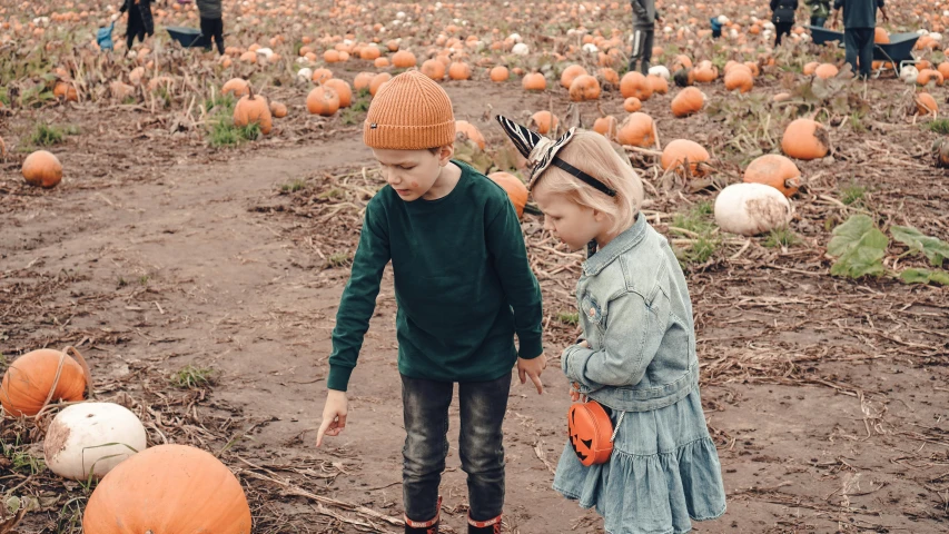 two children looking at pumpkins in a field