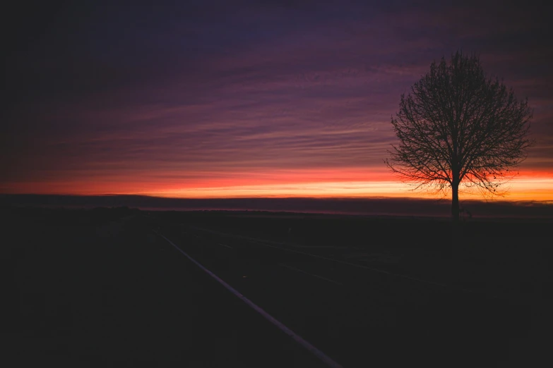 a tree is standing at the train tracks