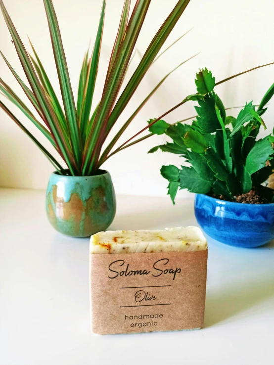 a bar of soap sits next to two potted plants