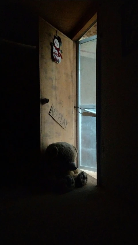 a dog is laying in a doorway in a dark room