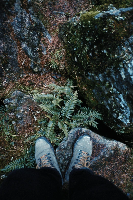 a person standing by some rocks with plants