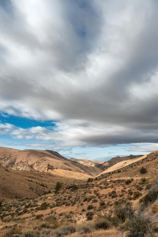 a cloudy sky is in the background over mountains and shrubs