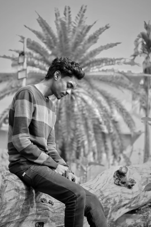 a man sits on a tree while looking down