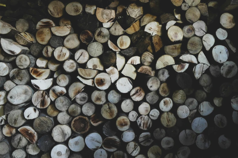 logs piled up with one large spoon in each