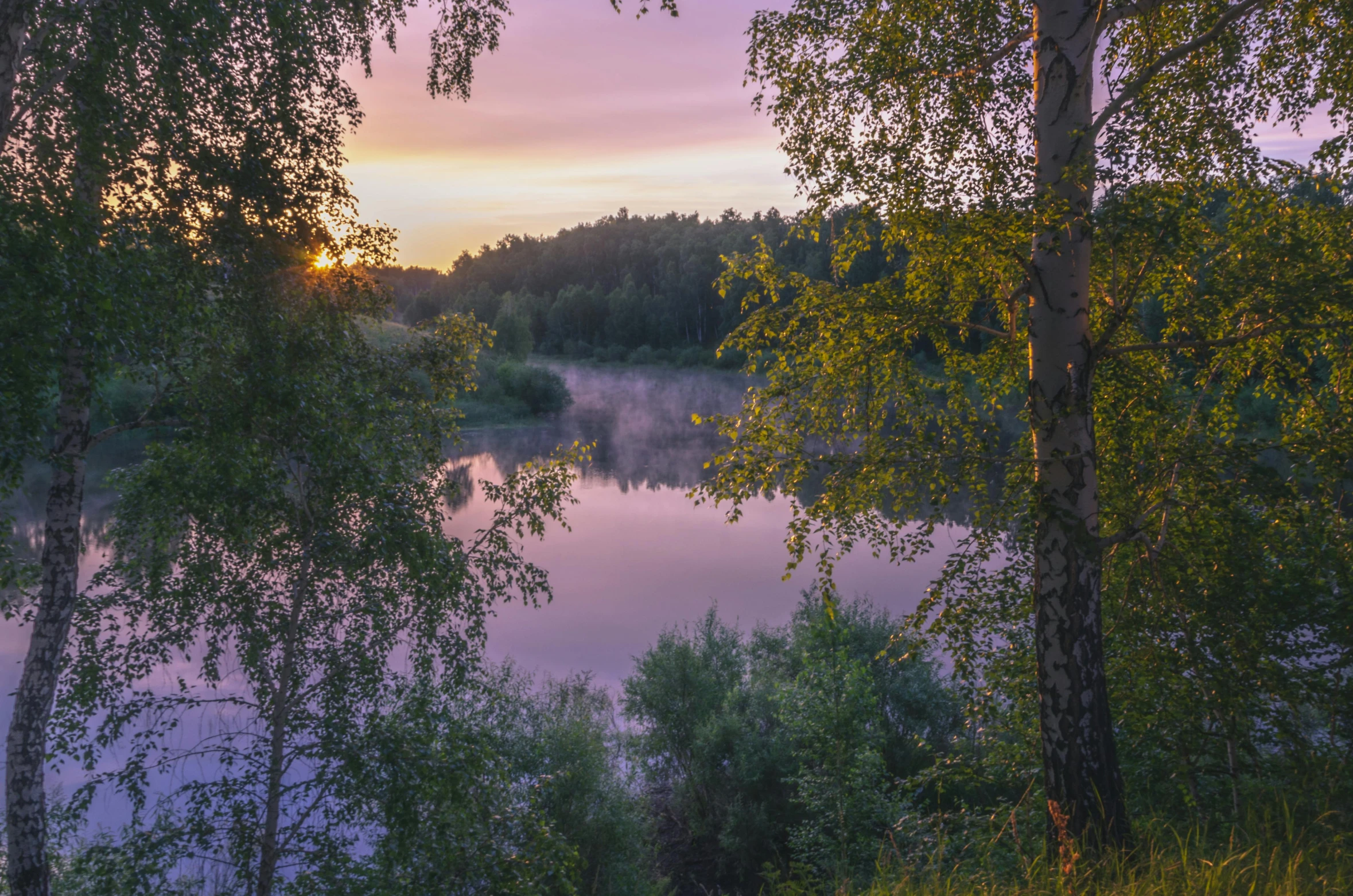 the sun shines through the trees over the river