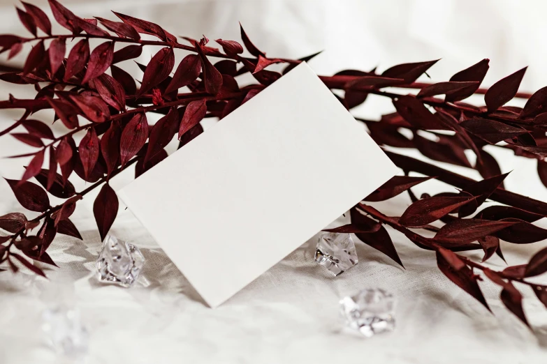 some red leaves a white paper and crystal jewels