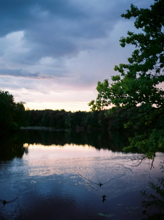 sunset in front of a quiet lake in a forest