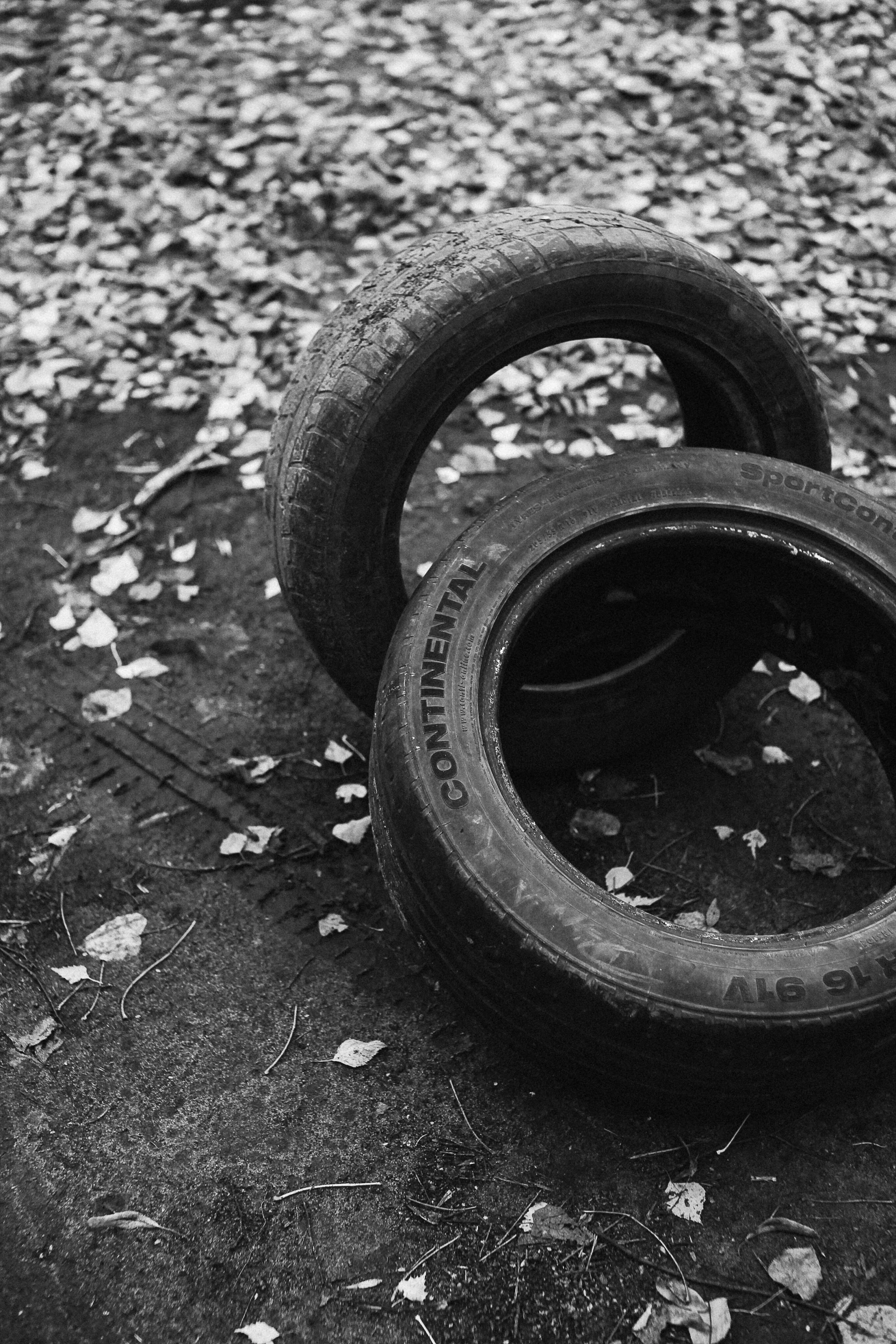 two worn tires lie on the ground with the leaves scattered