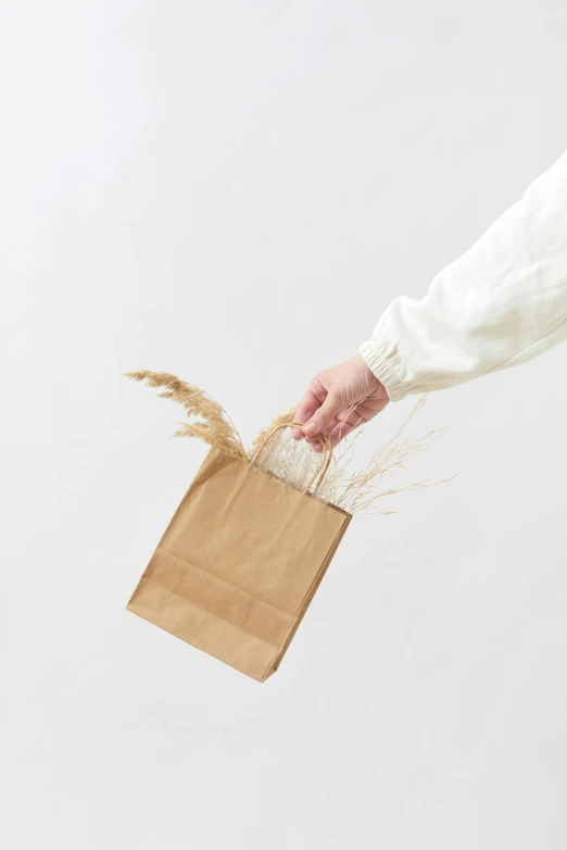 someone handing the handle to a brown paper bag