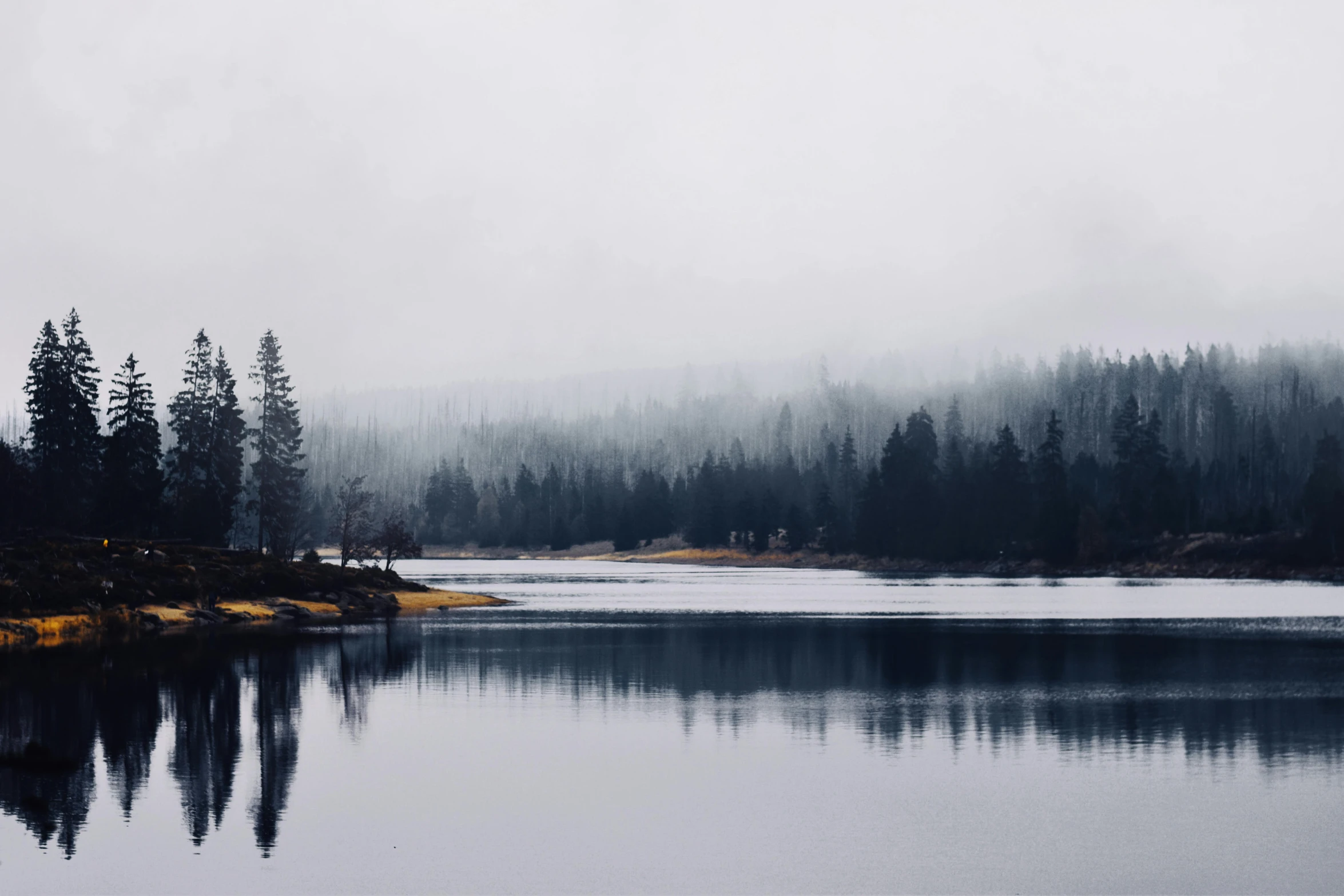 an almost empty lake with some trees on the shore