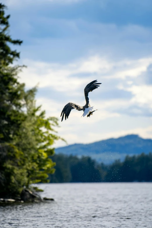 a bird flies over the water near trees