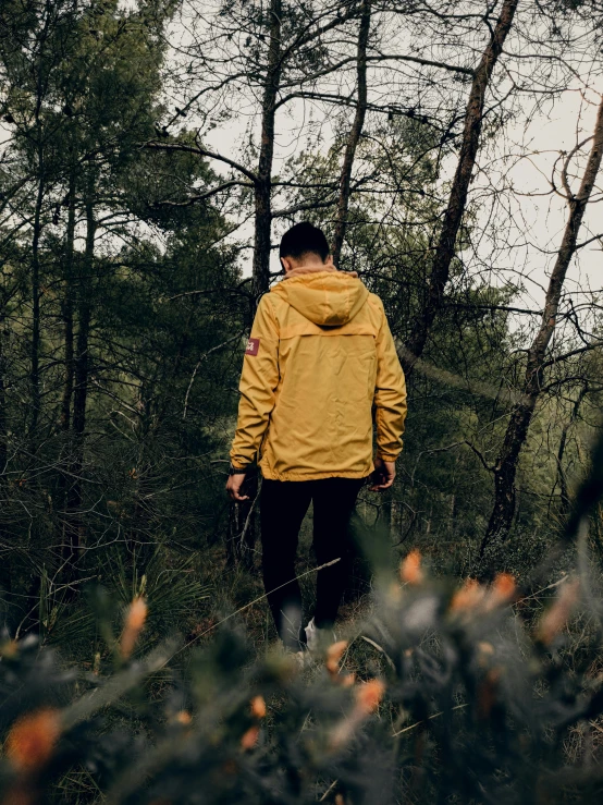 a man walking down a path in a forest