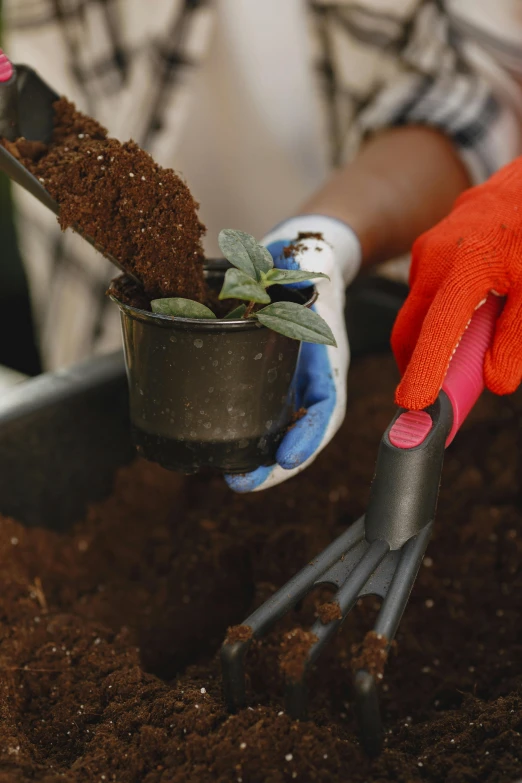 the person has some plants in their hands