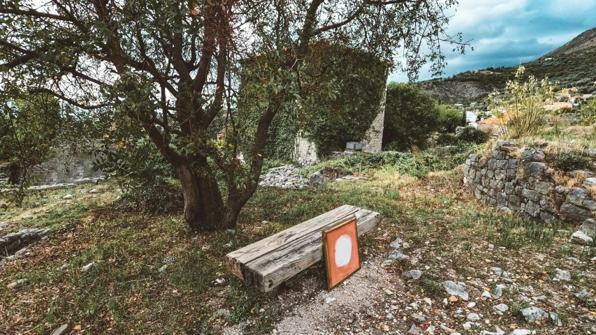 a wooden bench sitting underneath a tree in a field