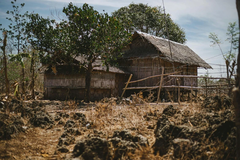 a straw house with a thatched roof surrounded by weeds