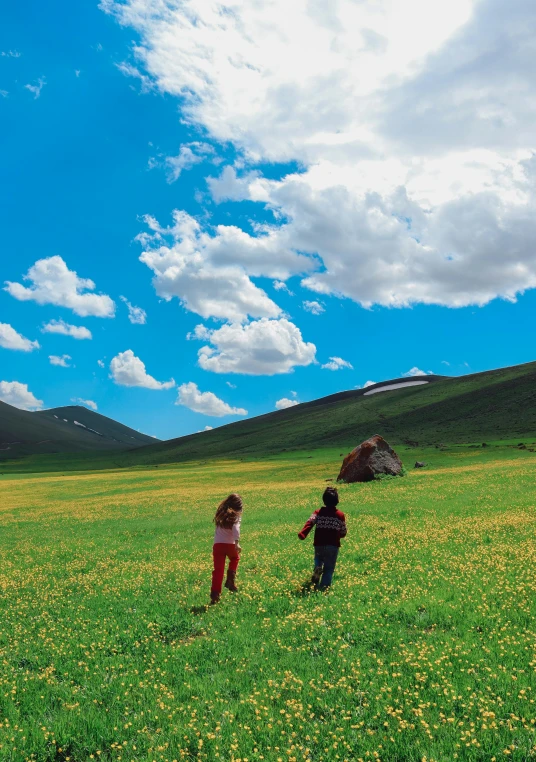 two people are standing on the grass while flying a kite