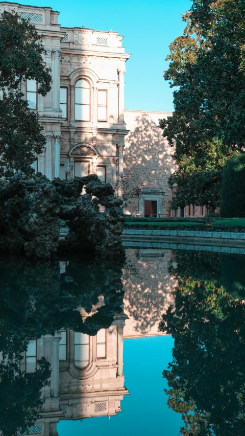 a tree lined pond in a park next to tall buildings