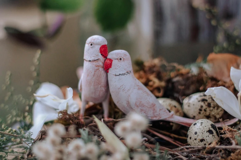 two white birds sitting on a nest with small eggs