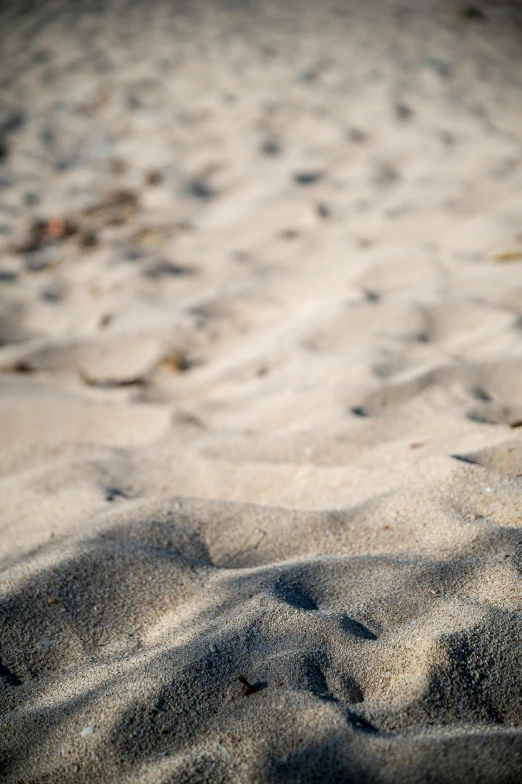 an area with a sandy beach, sand and small rocks