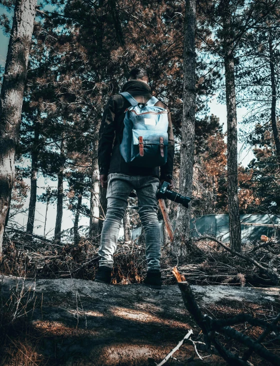 a person in grey shirt and blue backpack standing on a fallen log